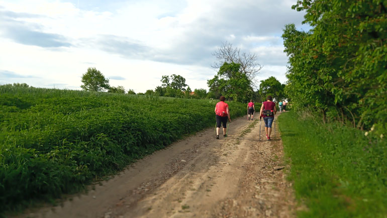 Nordic Walking iQSPORT Holešov